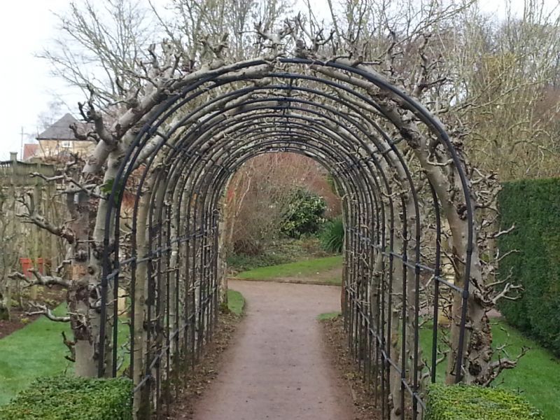 March into spring