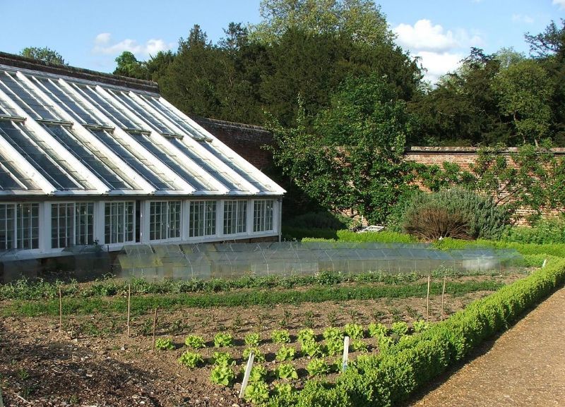 Practical Garden Training