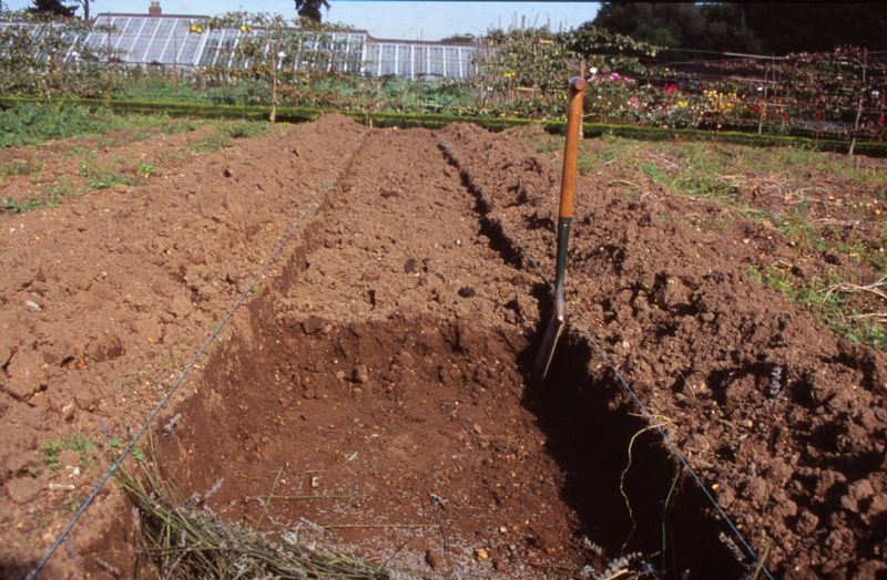Organic Gardening
